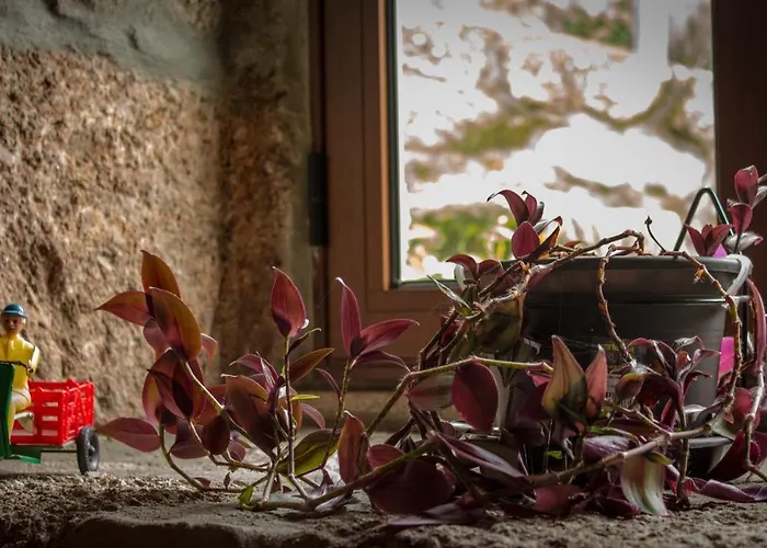 Casa Lages Σπίτι διακοπών